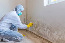 Best Asbestos and Lead Testing During Mold Inspection  in Union Springs, AL