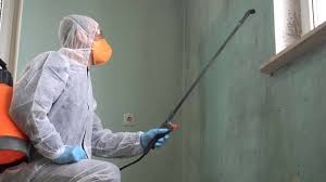 Why You Should Choose Our Mold Remediation Services in Union Springs, AL