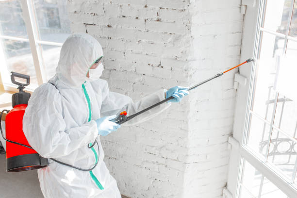 Best Biohazard Mold Removal  in Union Springs, AL